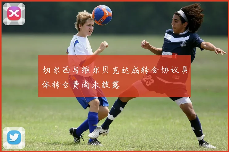 切尔西与维尔贝克达成转会协议具体转会费尚未披露